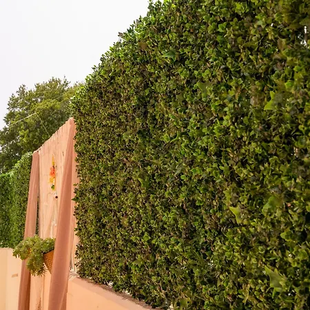 Hotel Crystal Palace - Vista Skala (Kefalonia)